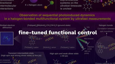 Lightning Bonds: Capturing Halogen Magic in the Blink of an Eye