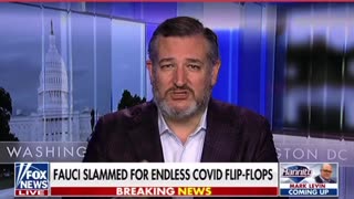 Senator Ted Cruz: Covid Lab Leak