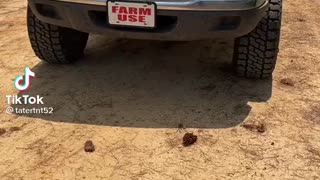 Ford ranger with welding bed