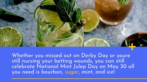 Do You Love National Mint Julep, Today We have National Mint Julep Day,Know More