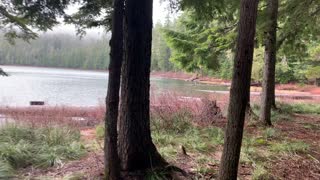 Oregon – Mount Hood National Forest – Exploring the Lakeshore – 4K