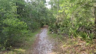 Hiking Oxbow Trail Loop coming along the Withlacoochee River in Central Florida