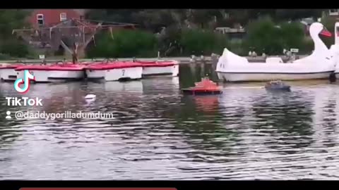 August 2015, Ayrton & Gabrielle witness historic RC boat rescue