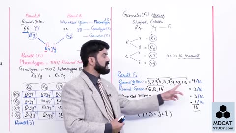 LEC#6 DIHYBRID CROSS