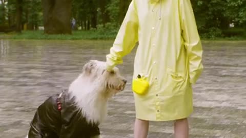 .Woman Training Her Dog In the Rain