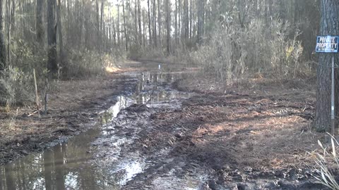 5 lbs of tannerite vs 300wm