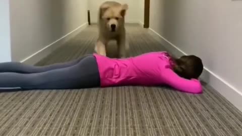 Dog Jumping Test