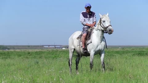 Man Sitting On A White Horse And Looking At Camera