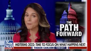 Tulsi Gabbard on how there is no democracy as long as the White House works with big tech