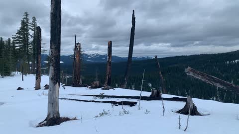 Expansive Panorama – Potato Hill Sno-Park – Central Oregon – 4K