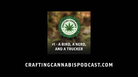 #1 - A Bird, a Nerd, and a Trucker