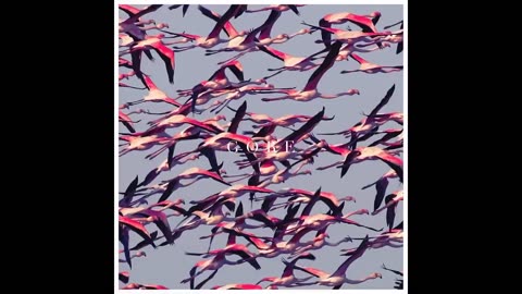 Deftones - Gore (Full Album) 2016