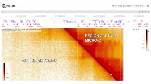 Look at the 3D genome like never before