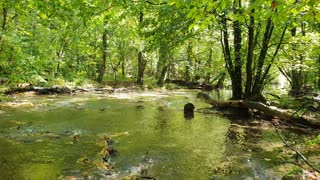 Calm river rising like a phoenix