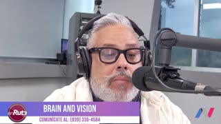 Brain and Vision