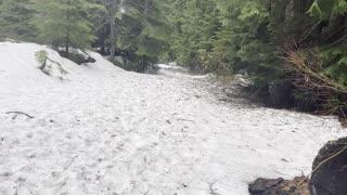 Traversing Snowy Section of Incredible Trail – Sahalie Falls & Koosah Falls Loop – 4K