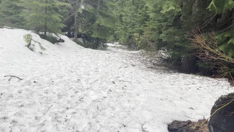 Traversing Snowy Section of Incredible Trail – Sahalie Falls & Koosah Falls Loop – 4K