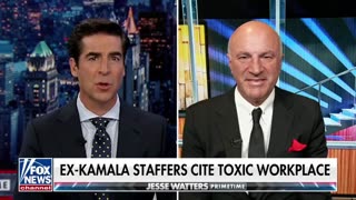 "What Has She Actually Done?": Mr. Wonderful Scorches Kamala Harris [WATCH]