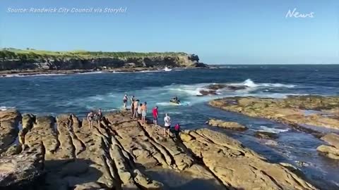 Tragic details emerge after fatal Sydney shark attack