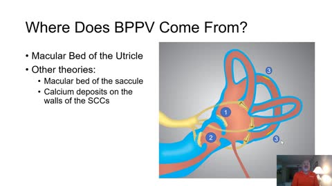 Where Does The Debris Go in BPPV