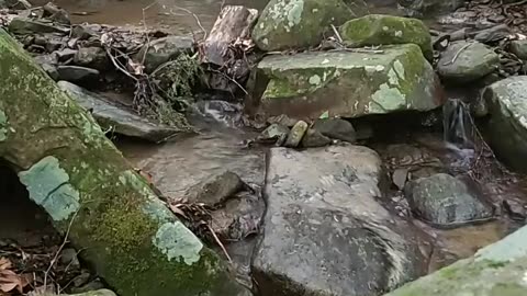 Creek Water Fall