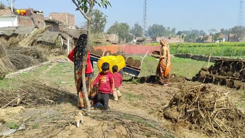 People Got Worried Due To Flood In The India Villaga || Uttar Pradesh In Village Life Style