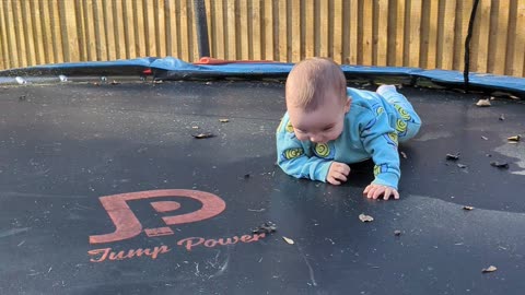 Trampoline baby in hysterics