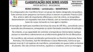 Seres Vivos: Vertebrados Mamíferos - MinhaEscolaWeb