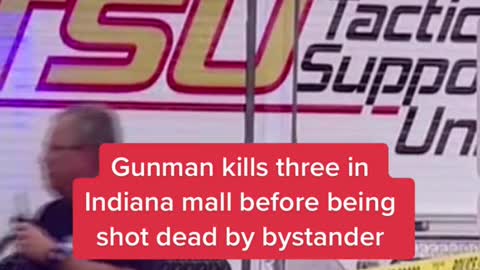 Gunman kills three in Indiana mall before being shot dead by bystander