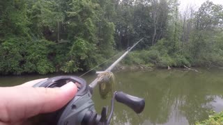 Bank Fishing For Bass In August