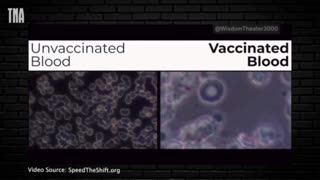 Something is Wrong With Vaccinated Blood