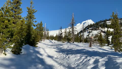 Exploring the Forest – White River West Sno Park – Mount Hood – Oregon – 4K