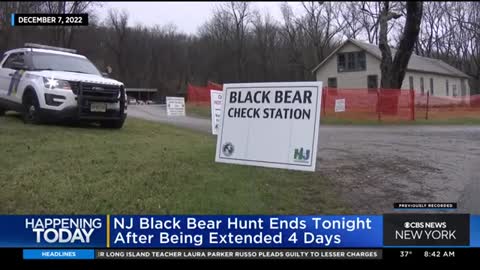 New Jersey bear hunt ends Saturday after 4-day extension