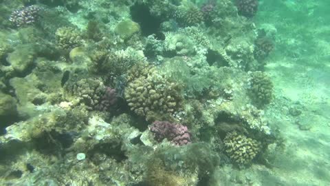 Hurghada, Egypt ... underwater