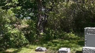 Woodland Cemetery in Neosho, Wis War of 1812 gravesite. 5/25/23