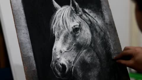 charcoal drawing horse time lapse/ how to make horse/tutorial/step by step