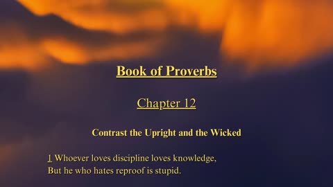 Christian Meme Video: Proverbs Chapter 12 (04/07/2024)