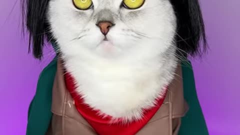 Mikasa caterman