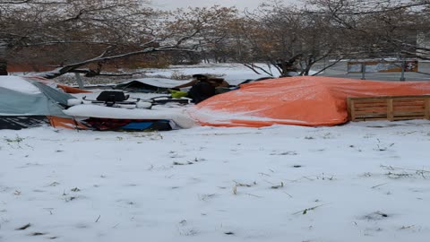 Hidden Crisis: Inside Canada's Wealthy Shadows - The Shocking Reality of Homeless Tent Cities