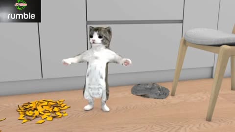 Noughty cat funny shorts video