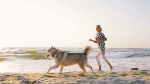 Young female running with siberian husky dog on the beach at sunrise,slow motion