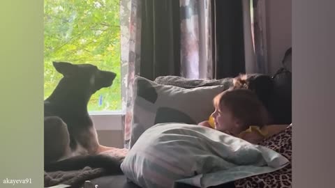 Cute dog and their little human