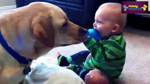 "Baby Enjoying Time with Funny Dog - Funniest Video Compilation"
