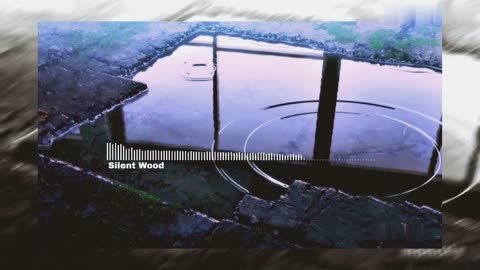 Silent Wood || Purrple Cat) || Lofi