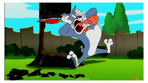 Tom & jerry - Tom Jerry & Black Cat Fight - Tom & Jerry in Full Screen - Classic