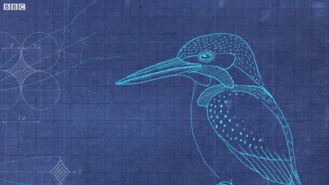 How a kingfisher helped reshape Japan's bullet train - BBC News