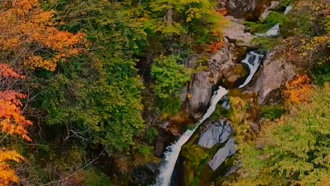 Good autumn scenery and weather. How beautiful autumn is in Shennongjia