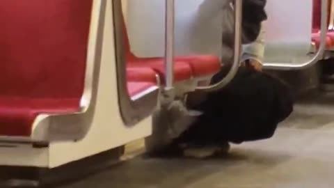 Immigrant Pisses on Public Transit in Canada.