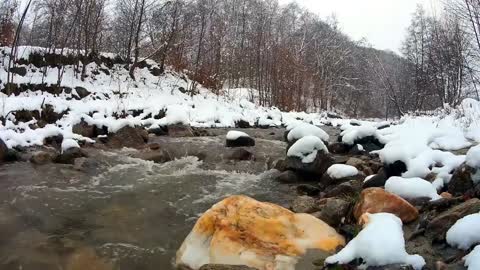 🌲🌲 Snowstorm & Icy Cold River, Falling Snow & Polar Wind Relaxing Sounds of Winter.