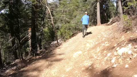 Trestle trail Cloudcroft New Mexico. One of Bobby’s favorite trail running locations.